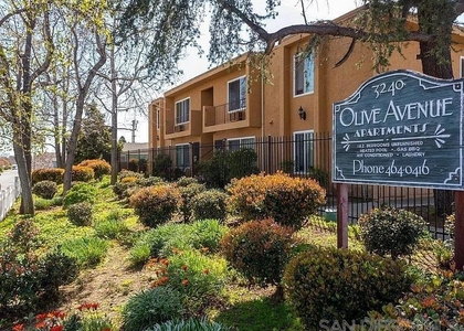 3240 Olive Street - Photo 1