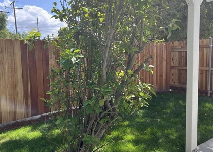 4484 Apricot Road - Photo 1