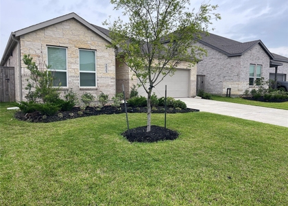 16503 Texas Palmetto Way - Photo 1