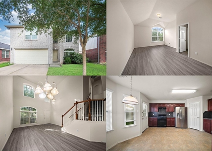 1431 Orchid Drive - Photo 1