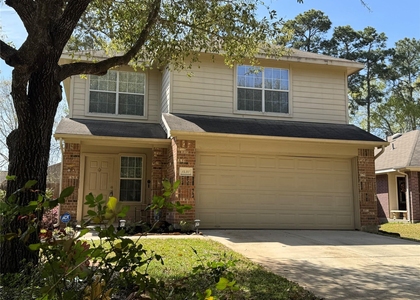 1430 Natural Pine Trail - Photo 1