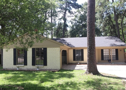 27 N Greenbud Court - Photo 1