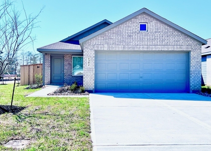 1392 Diamond Carnation Drive - Photo 1