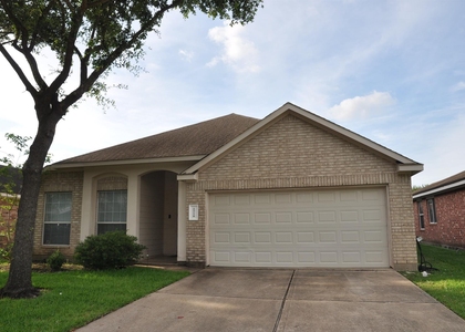 19118 Mossy Hedge Lane - Photo 1