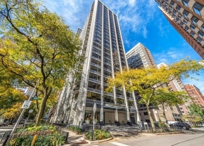 222 E Pearson Street - Photo 1