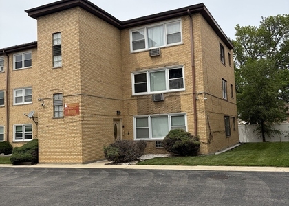 10739 S Pulaski Road - Photo 1