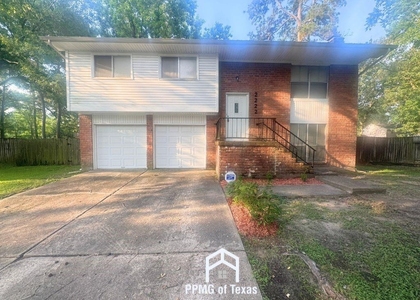 2222 Riverford Drive - Photo 1