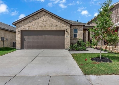 1729 Hazer Lane - Photo 1