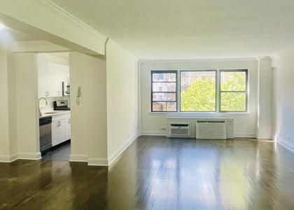 Beekman Place - Photo 1