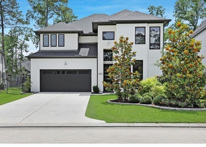 6 Gentle Branch Place - Photo 1