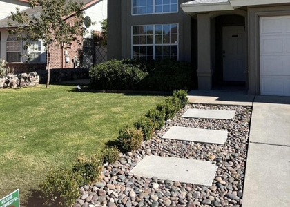 7548 Plaza Taurina Drive - Photo 1