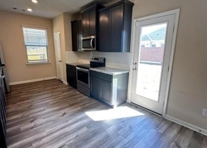 1707 Cotton Blossom Lane - Photo 1