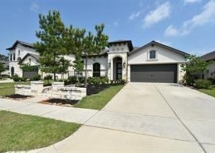 4525 Silver Pine Ct - Photo 1