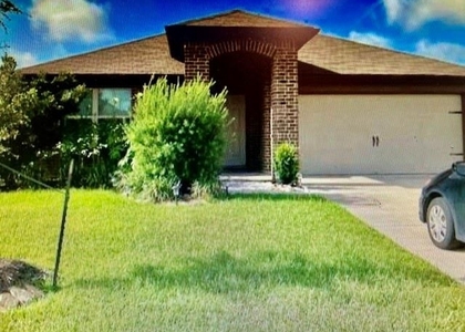 29223 Dunns Creek Ct - Photo 1