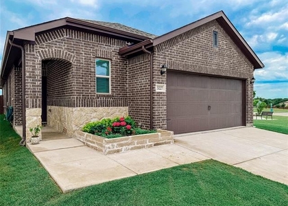 3227 Shortgrass Lane - Photo 1