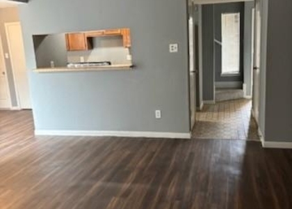 12517 Corona Lane - Photo 1