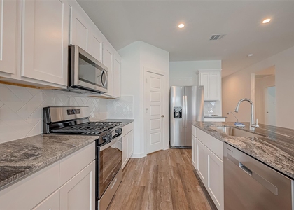 1018 Fringed Bluestar Drive - Photo 1