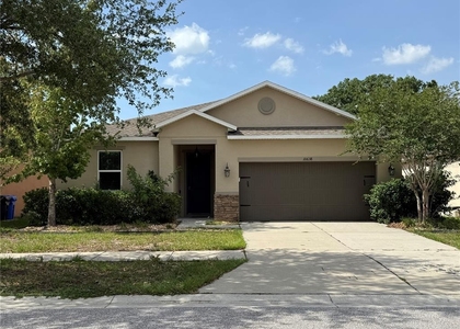 10638 Laguna Plains Drive - Photo 1