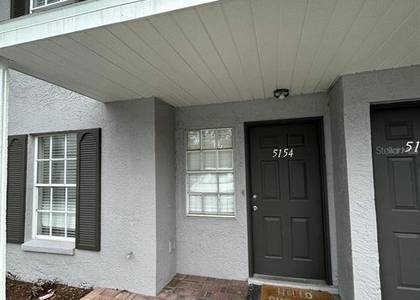 5154 Sunridge Palms Drive - Photo 1