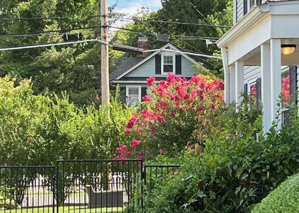 124 Mclaren Street - Photo 1