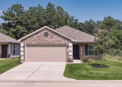 20906 Twining Rose Lane - Photo 1