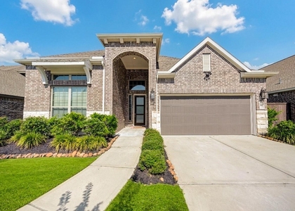 16811 Ruellia Field Road - Photo 1