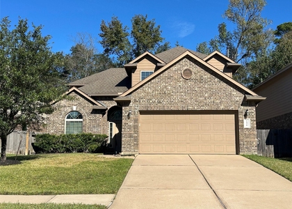 2438 Garden Falls Dr - Photo 1