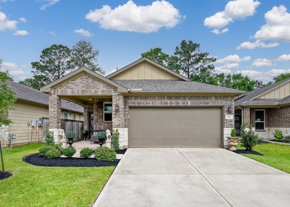 7099 Silverleaf Oak Street - Photo 1