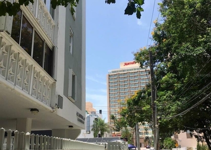 60 Caribe Cond. Castillo - Photo 1