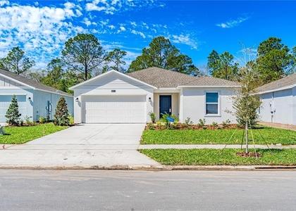 4814 Yellow Elder Way - Photo 1