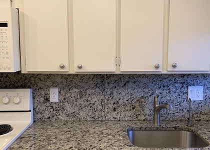 3212 Strawflower Way - Photo 1