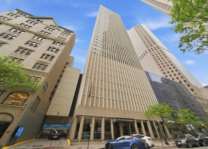 100 E Walton Street - Photo 1