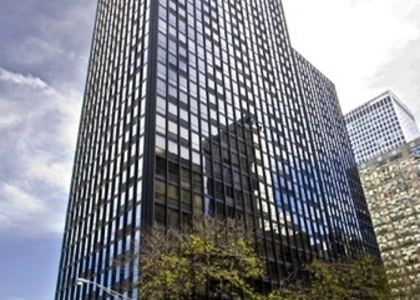 910 N Lake Shore Drive - Photo 1