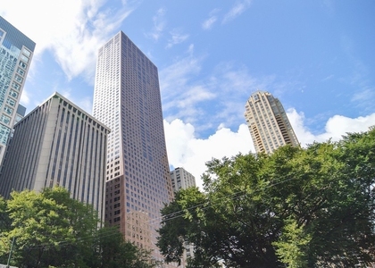 161 E Chicago Avenue - Photo 1