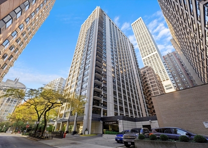 222 E Pearson Street - Photo 1