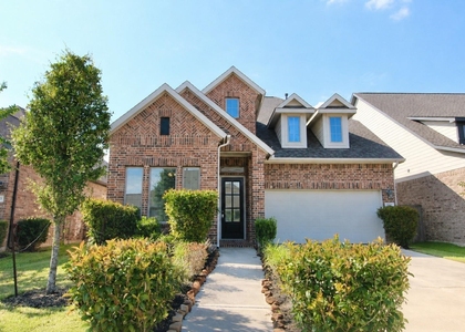 10919 Texas Rose Drive - Photo 1
