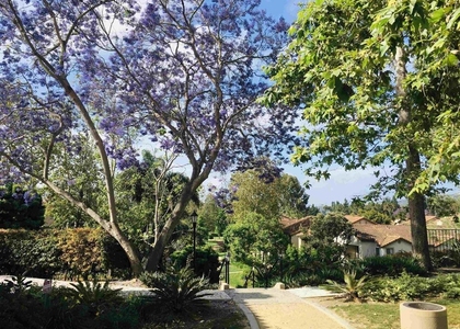 7405 Charmant Drive - Photo 1