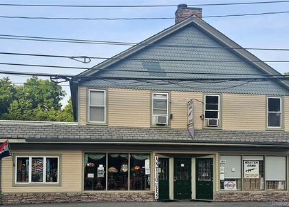 160 Orange Turnpike - Photo 1