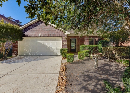 11 Ebony Oaks Place - Photo 1