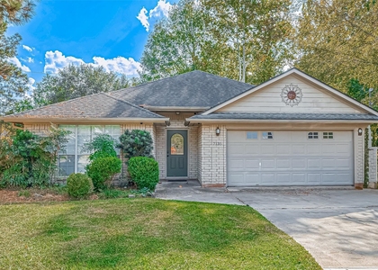7135 Woodland Oaks - Photo 1