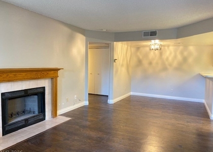 3450 Erva Street - Photo 1