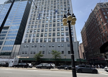 910 S Michigan Avenue - Photo 1