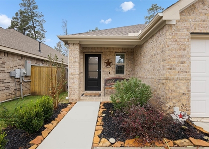 10417 Pineland Drive - Photo 1