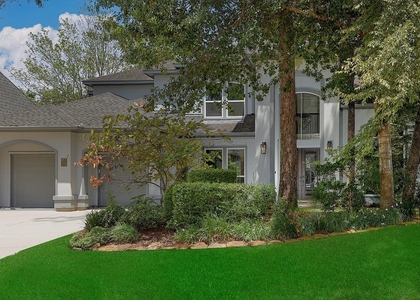 14 Graceful Elm Court - Photo 1