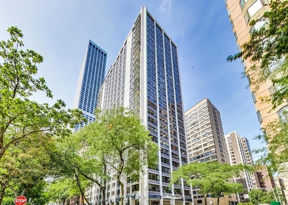 222 E Pearson Street - Photo 1