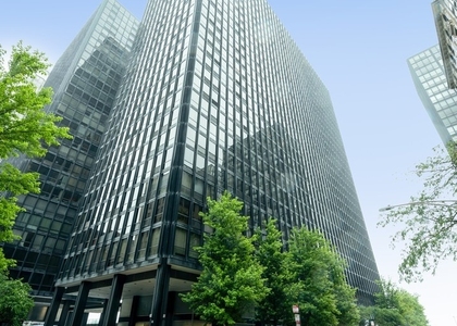 900 N Lake Shore Drive - Photo 1