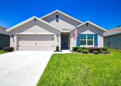 4111 Autumn Amber Drive - Photo 1