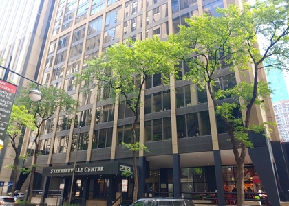233 E Erie Street - Photo 1