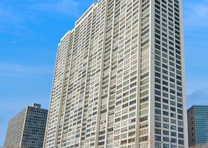2800 N Lake Shore Drive - Photo 1