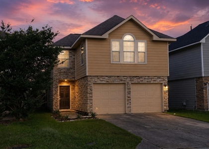 10903 Windfern Lakes Street - Photo 1